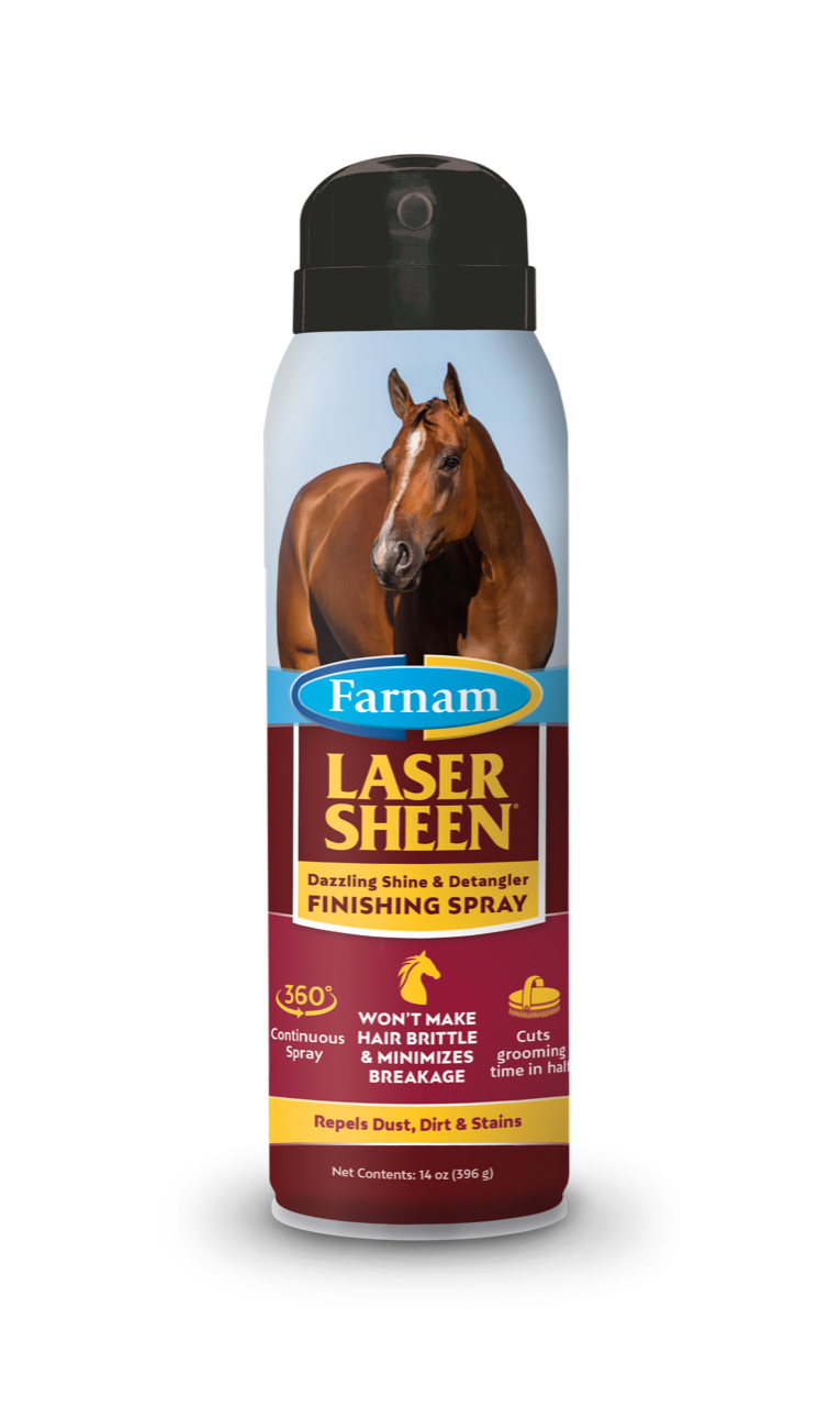 Laser Sheen Finish Spray 14OZ
