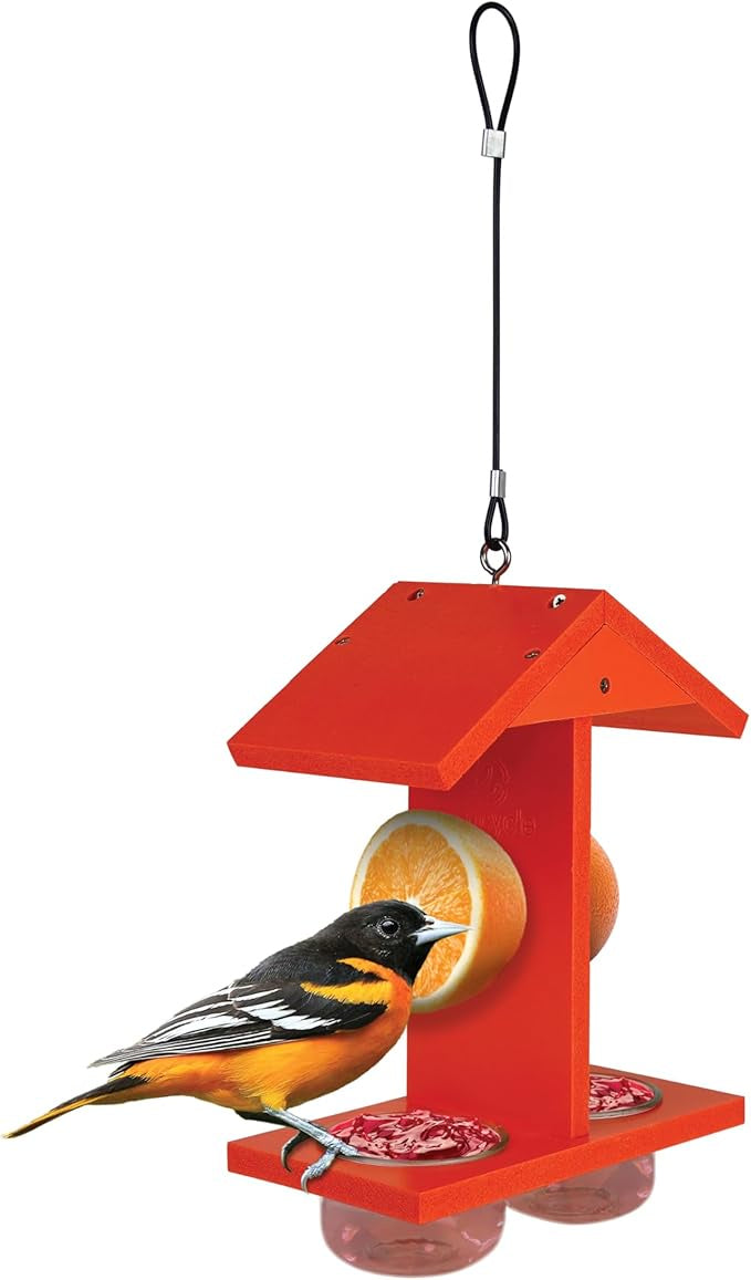 Citrus Sampler Oriole Feeder