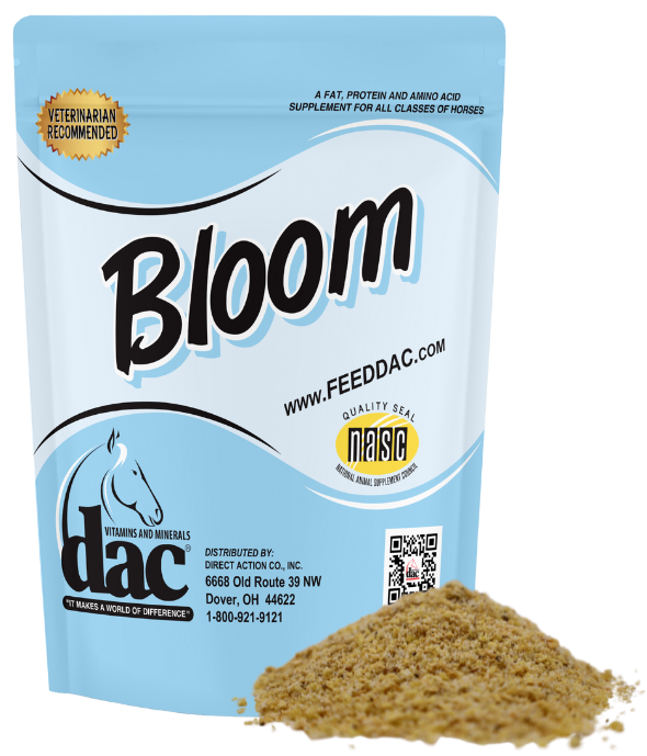 Bloom