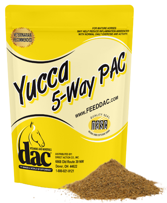 Yucca 5 Way