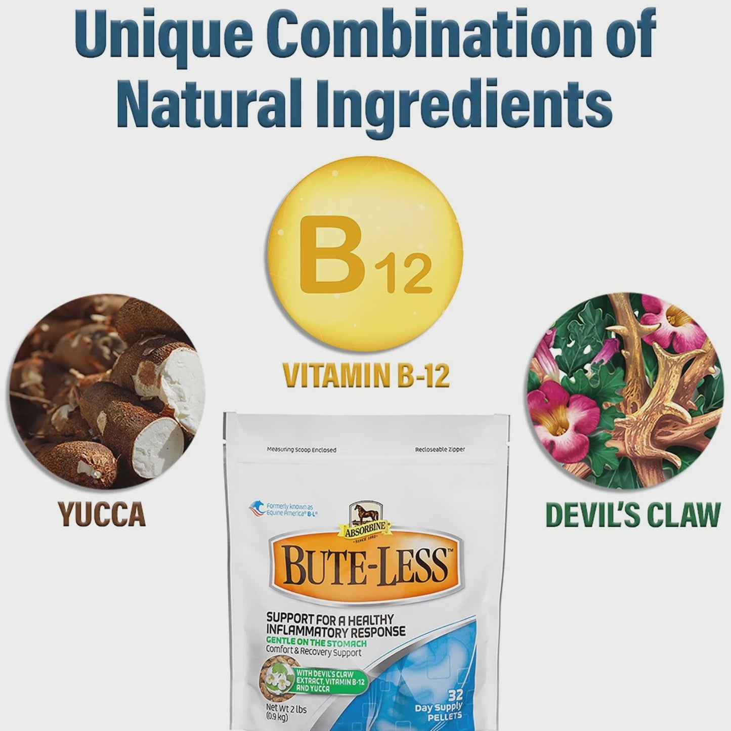 Bute Less Pellets 2LB