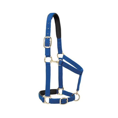 Padded Adjustable Chin And Throat Snap Halter LARGE