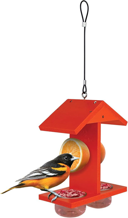 Citrus Sampler Oriole Feeder